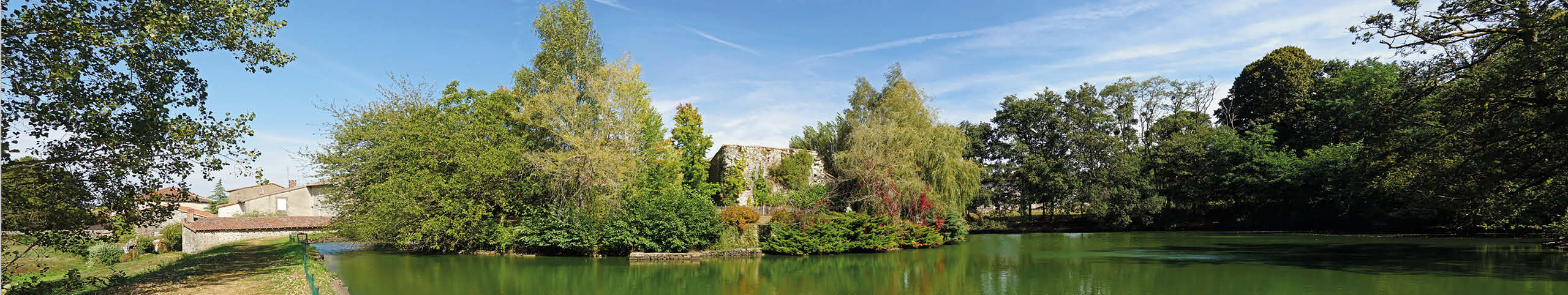 Banner Loire - Frankrijk